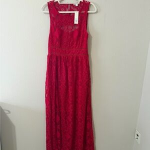 Francesca's Collections Red Lace Maxi Dress